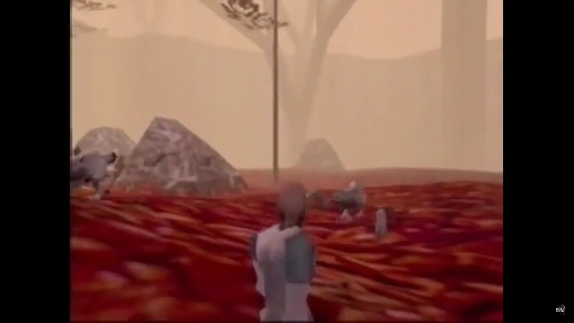 overlooking a foresty vista